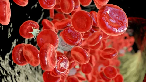 What is Polycythemia